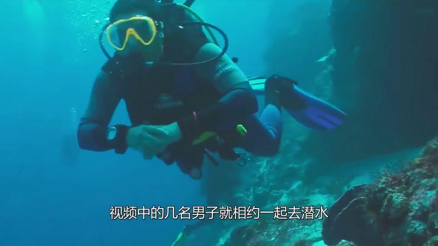 僵尸维京