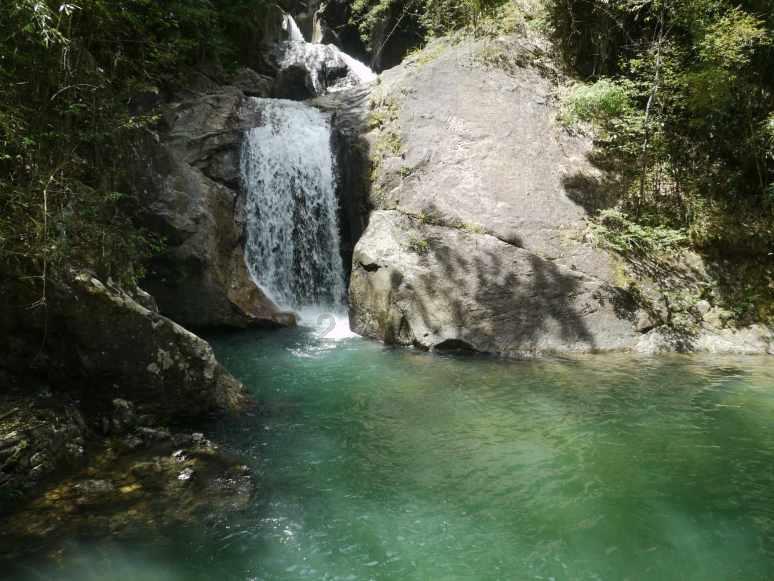 palipali@pali. live.apk